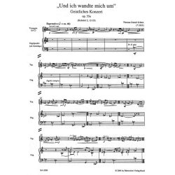 Und ich wandte mich um - Schlee, Thomas Daniel