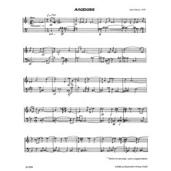 Anabasis - Stranz, Ulrich