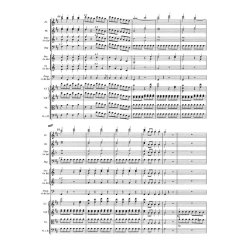 Le nozze di Figaro / The Marriage of Figaro - Mozart, Wolfgang Amadeus