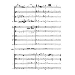 The Magic Flute - Mozart, Wolfgang Amadeus