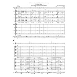 Ave Maria - Zimmermann, Heinz Werner