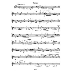 Concerto - Seitz, Friedrich