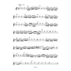 Concerto - Vivaldi, Antonio