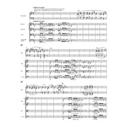 Concerto - Beethoven, Ludwig van