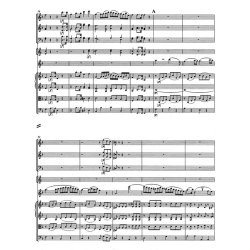 Romances in F major and G major - Beethoven, Ludwig van