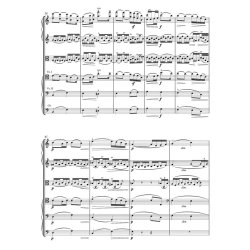 Serenade - Elgar, Edward