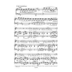 Winterreise - Schubert, Franz