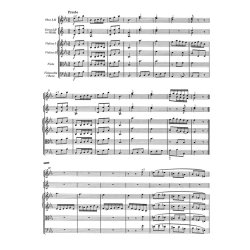 Symphony - Mozart, Wolfgang Amadeus