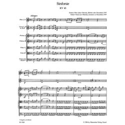 Symphony - Mozart, Wolfgang Amadeus