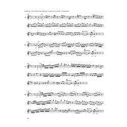 Concert Arias - Mozart, Wolfgang Amadeus