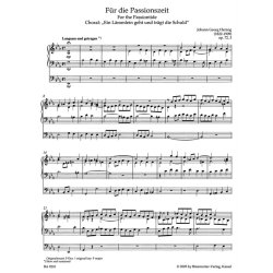 Orgelmusik zur Passions- und Osterzeit - 