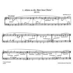 Choralvorspiele - Hoyer, Karl