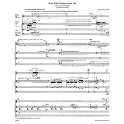 Study II for Treatise on the Veil - Pintscher, Matthias