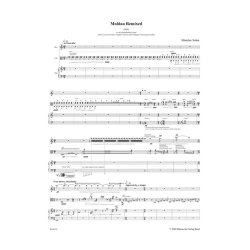 Moldau remixed - Srnka, Miroslav