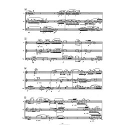 Echoes of light - Zabel, Frank