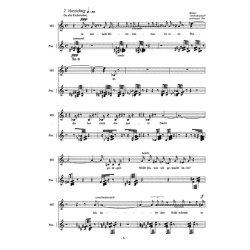 Dreizehn Lieder - Srnka, Miroslav