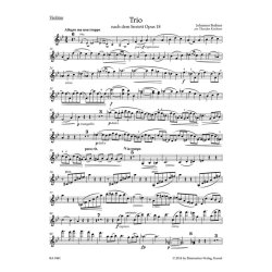 Trio - Brahms, Johannes