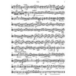 String Quartet - Smetana, Bedrich