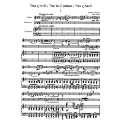 Trio - Smetana, Bedrich