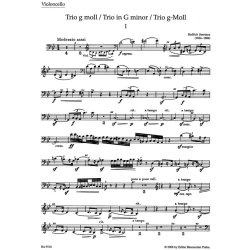 Trio - Smetana, Bedrich