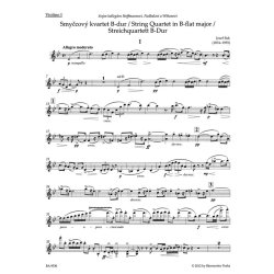 String Quartet - Suk Josef