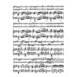 Piano Trio - Dvor&aacute;k, Anton&iacute;n