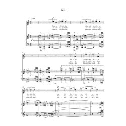 Z&szlig;pisn&Yacute;k zmizel&eacute;ho (The Diary of One Who Disappeared / Tagebuch eines Verschollenen) - Jan&aacute;cek, Leos