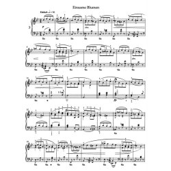 Forest Scenes - Schumann, Robert