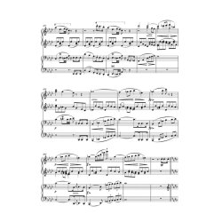 Works for Piano Duet (vier Hands-One Piano), Volume 3 - Schubert, Franz