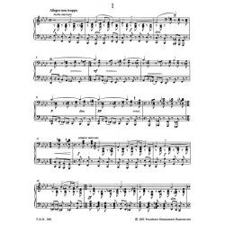 Etudes-Tableaux Op. 33 And Op. 39