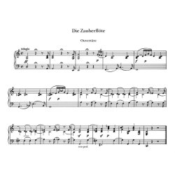 Die Zauberflote : Die Oper als Bilderbuch mit Musik