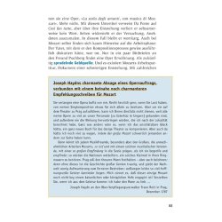 Mozart, der Spieler : Geschichte eines schnellen Lebens