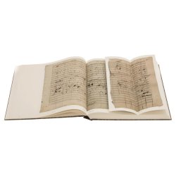 Missa solemnis d-Moll op. 123