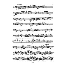 Virtuose Etueden fuer Fagott