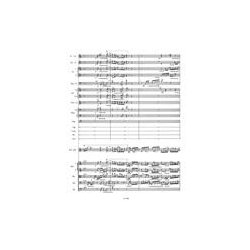 Concerto for Violin and Orchestra no. 1 E major