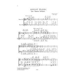 Des Narren Irrfahrt : M&auml;nnerchor mit Sopran Solo