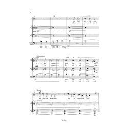 Des Narren Irrfahrt : M&auml;nnerchor mit Sopran Solo