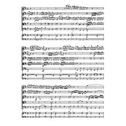 Quintet D Maj Op 11-6