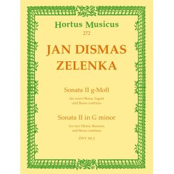 Sonata II g-Moll ZWV 181,2