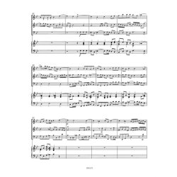 Sonata II g-Moll ZWV 181,2