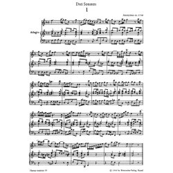 Sonatas 3 Trec Bc : for Treble Recorder (Flute) and Basso continuo