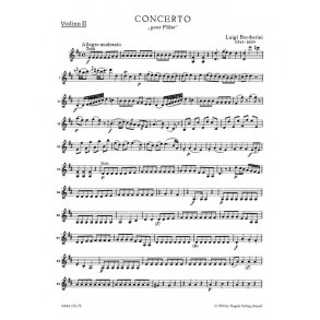 Konzert fur Flote und Streicher : Flötenkonzert