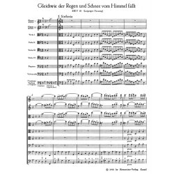 Cantata BWV 18 Gleichwie Der Regen Und Schnee : Cantata for Sunday Sexagesimae