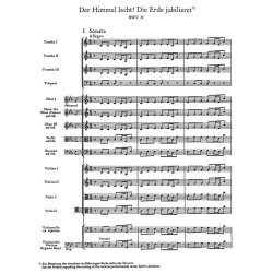 Cantata BWV 31 Der Himmel Lacht! : Cantata for the 1st Easter Day
