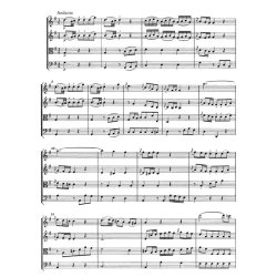 Three Divertimenti for Strings KV 136-138