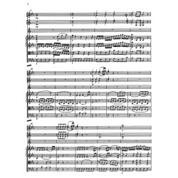 Concerten KV417 495 447 412 514