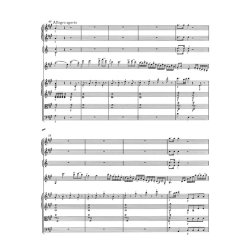Works for Violin and Orchestra : KV 207, 211, 216, 218, 219, 261, 269 (261a), 373