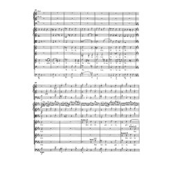 Mass In B-flat Major : Theresienmesse