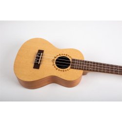 Bumblebee BUC22 Concert Ukulele - Spruce/Mahogany