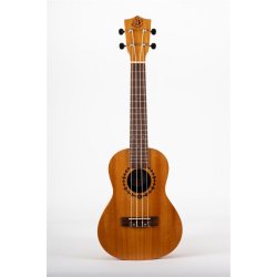 Bumblebee BUC23 Concert Ukulele - Natural